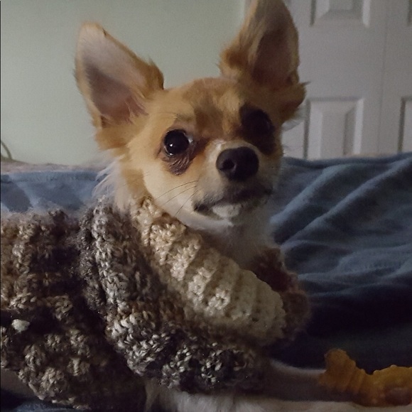 Meet your Posher, Diana - Picture 4 of 9